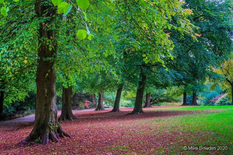 Gwent.  Newport,  Beechwood Park,