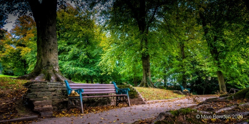 Gwent.  Newport,  Beechwood Park,