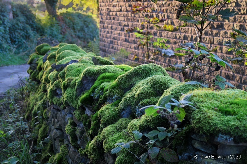 Cheshire.  Bollington, in the Peak District.
