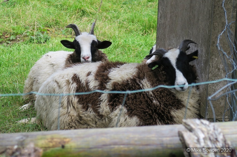 Cheshire.  Bollington cottage friends.