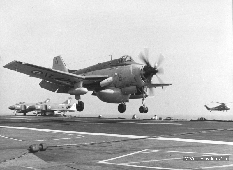 Gannet-touch-and-go