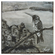 2016-08-23-Lonely-Hummingbird