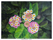 2020-08-31-Little-Flowers
