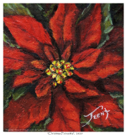 2020-12-05-Christmas-Poinsetta