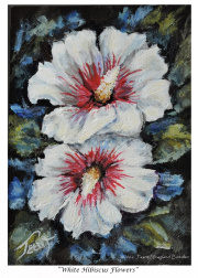 2022-05-20-White-Hibiscus-Flowers