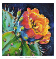 2023-06-20-Desert-Bloom