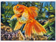 2023-08-11-Shimmering-Goldfish