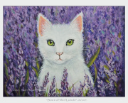 2023-09-10-Snow-in-a-Field-of-Lavender