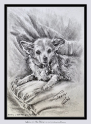 2026-04-05-Midas-on-His-Pillow