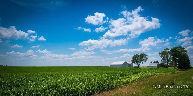 Iowa corn field.
