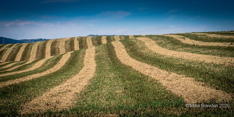 South Dakota.  Farmland,