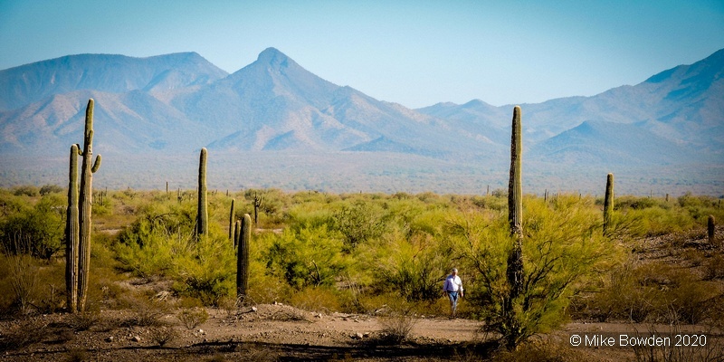 California.  Desert, Southern California.