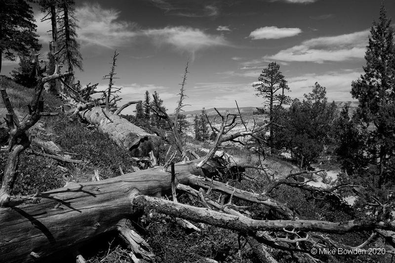 Utah. Bryce Canyon. .
